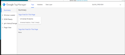 Panel de debug